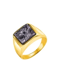 Vergoldeter Herrenring mit Silicium Herren Ringe