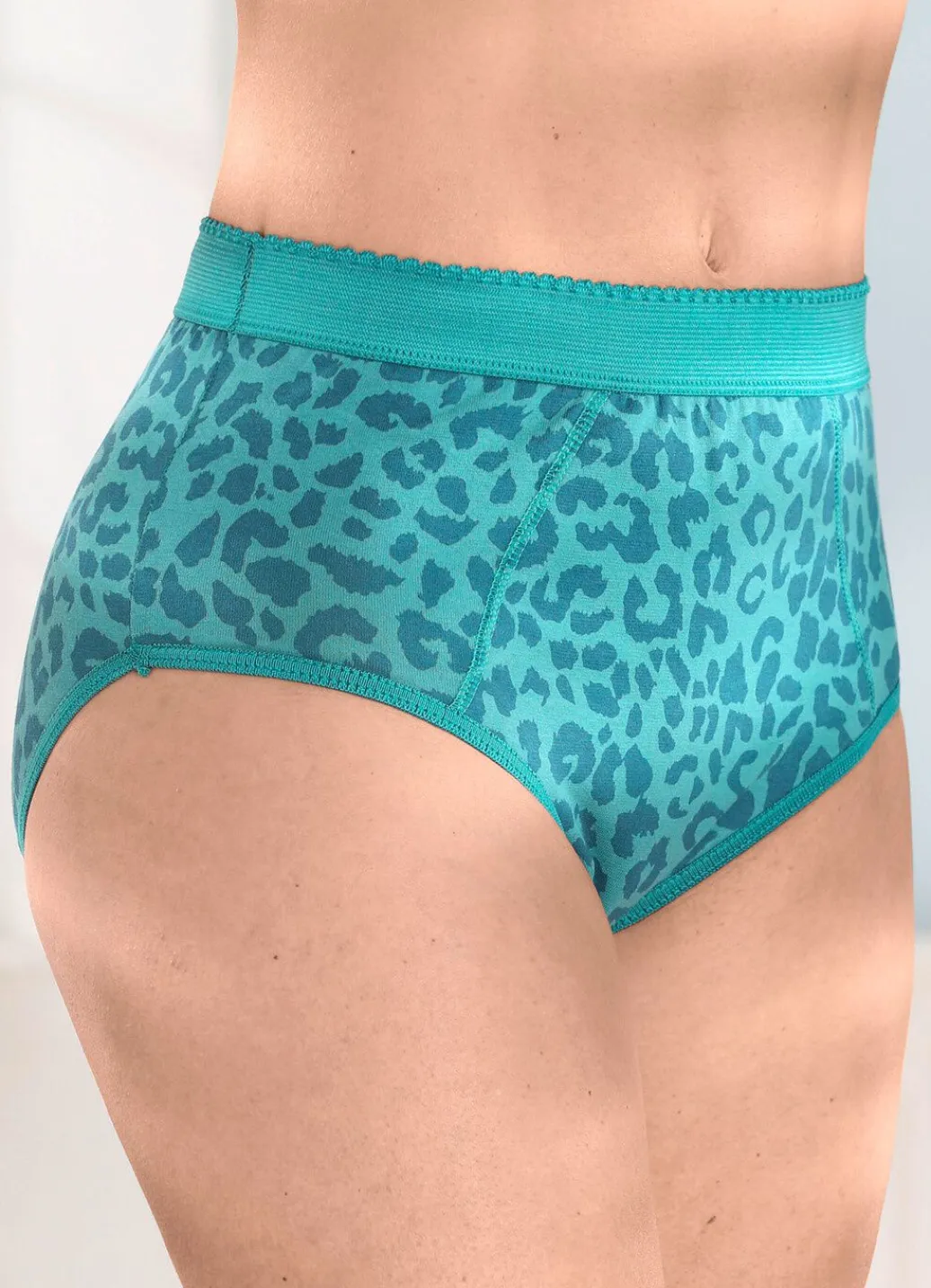 Hot Viererpack Formslips mit verstärkter Bauchpartie Damen Slips|Miederhosen