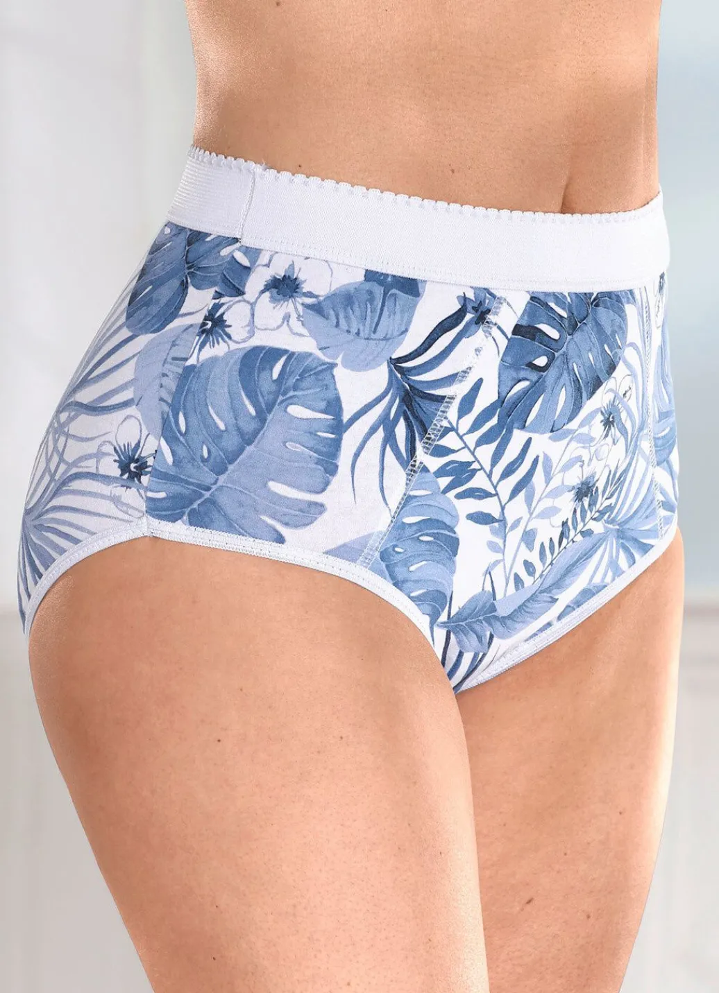 Online Viererpack Formslips mit verstärkter Bauchpartie Damen Slips|Miederhosen