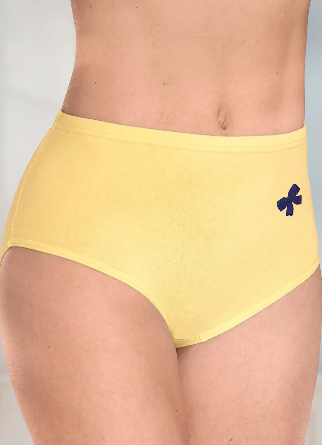 New Viererpack Slips mit Gummizug im Bund Damen Slips